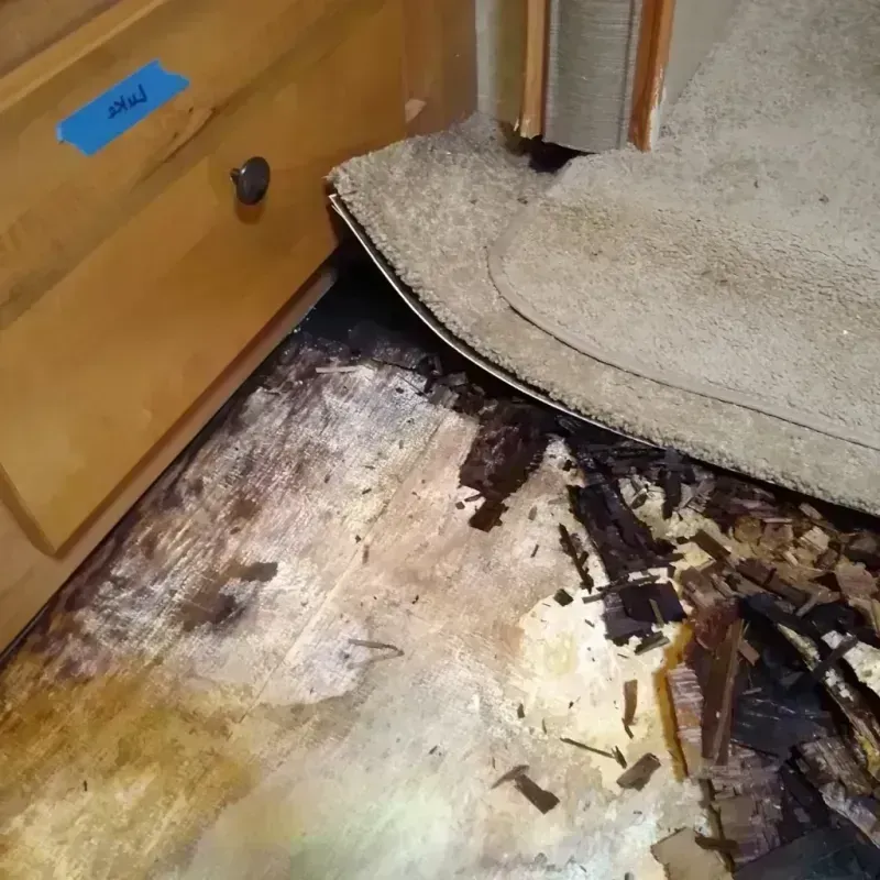 Wood Floor Water Damage in Boulder, MT